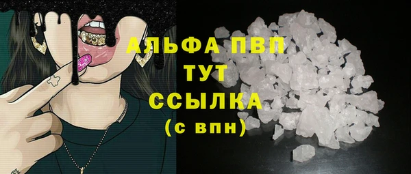 гашик Алексин