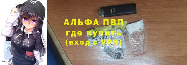 гашик Алексин