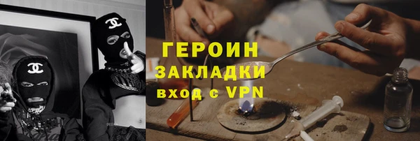 гашик Алексин