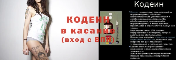 гашик Алексин