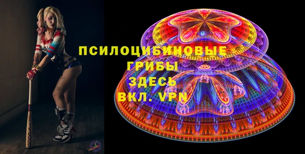 гашик Алексин