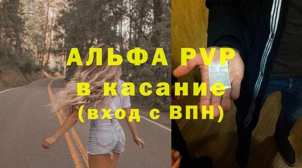 гашик Алексин