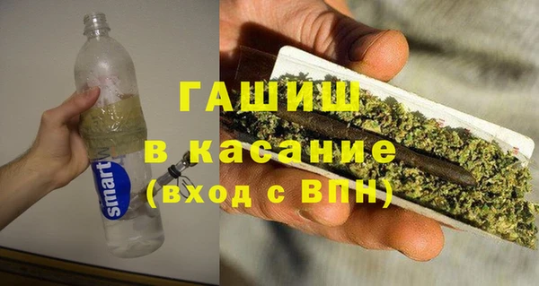 гашик Алексин