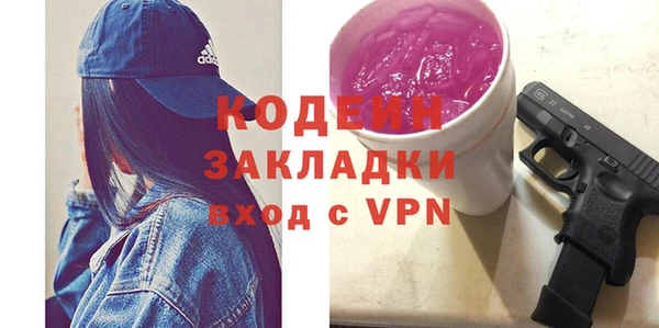 гашик Алексин