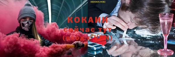 соль курить ск Алзамай
